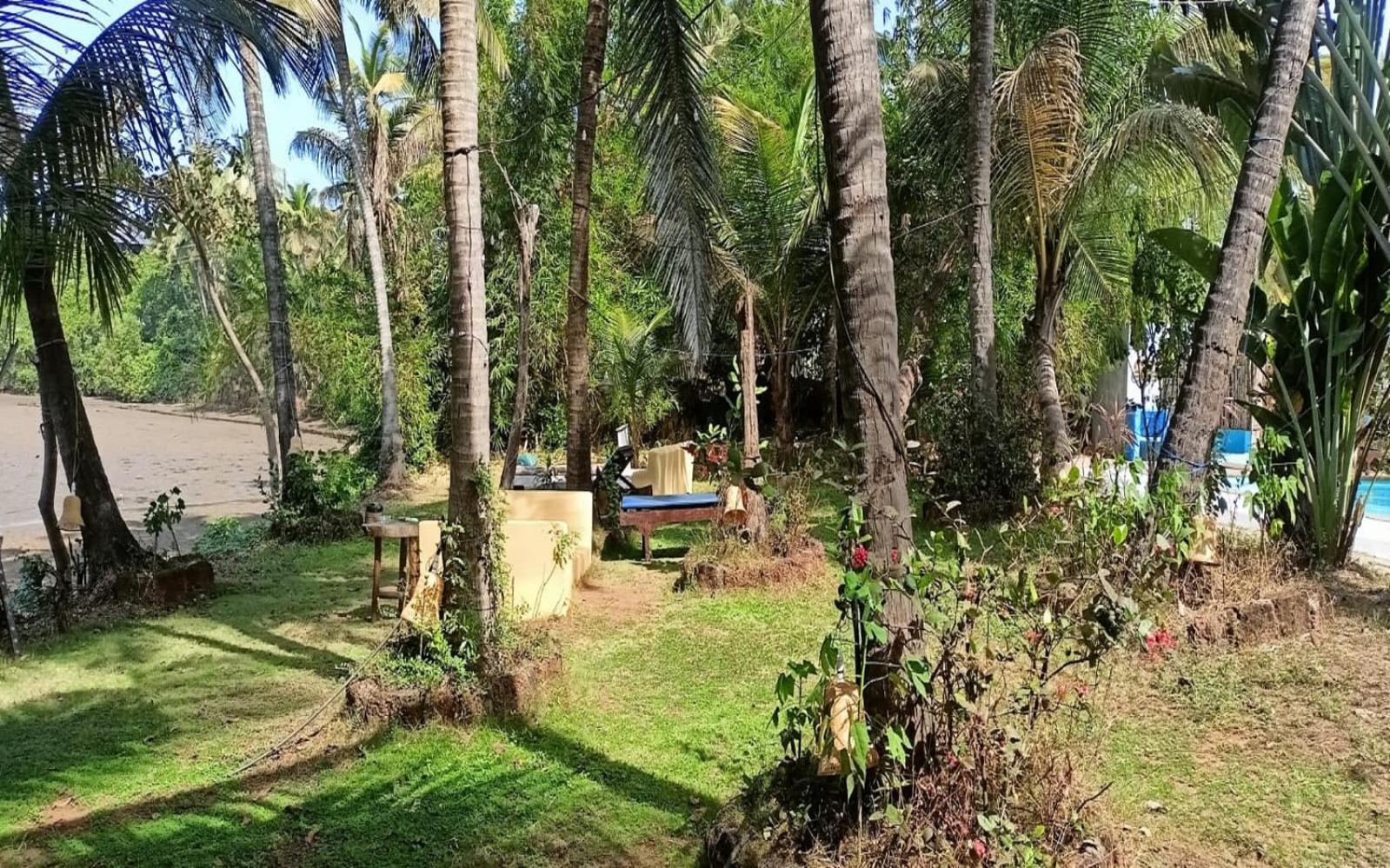 Jamboree Creek Yoga Mandrem Bagian luar foto