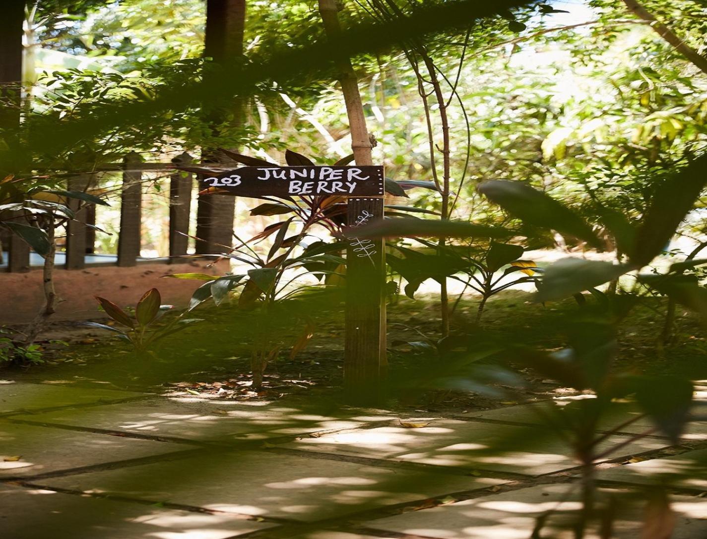 Jamboree Creek Yoga Mandrem Bagian luar foto
