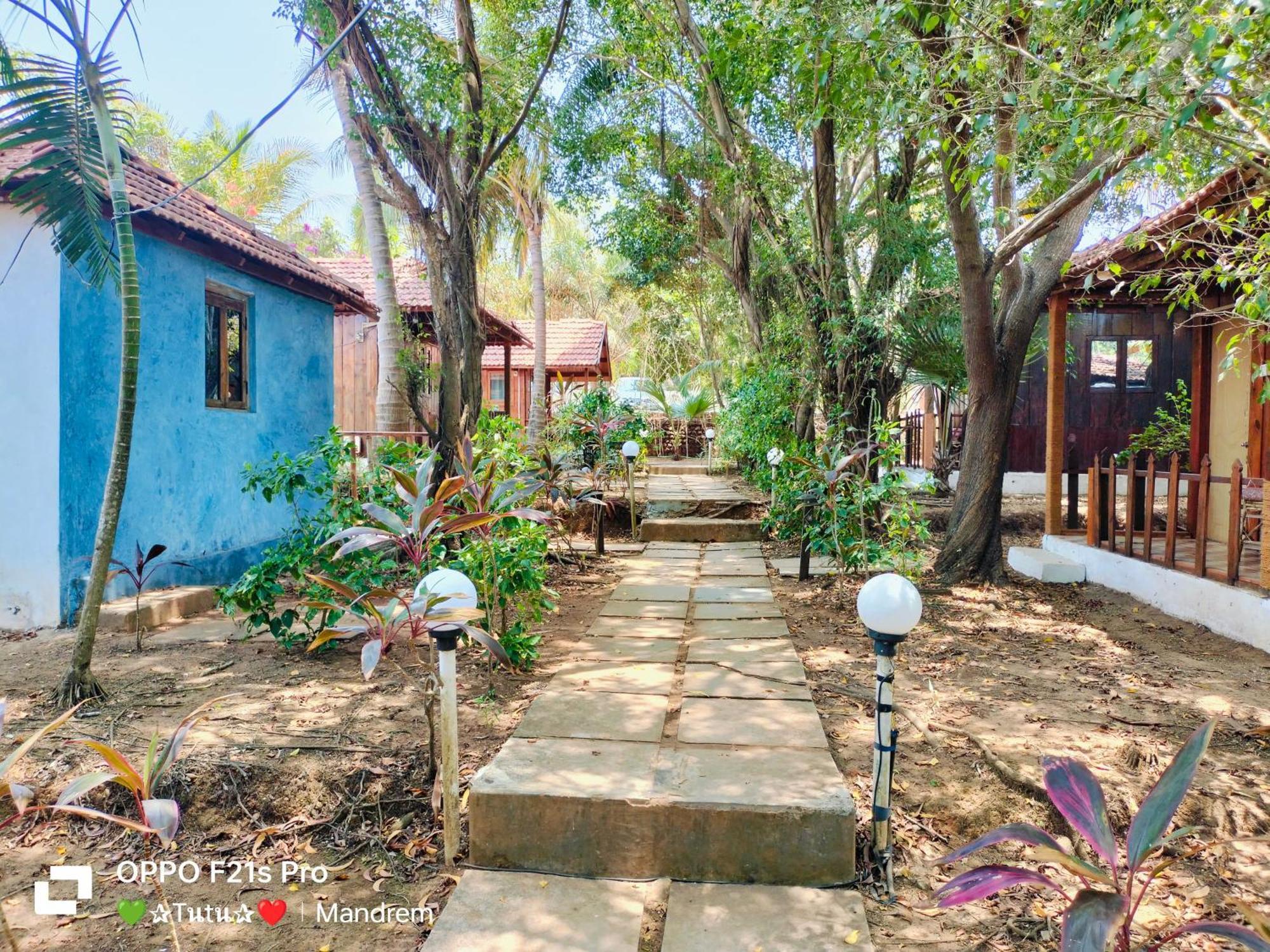 Jamboree Creek Yoga Mandrem Bagian luar foto