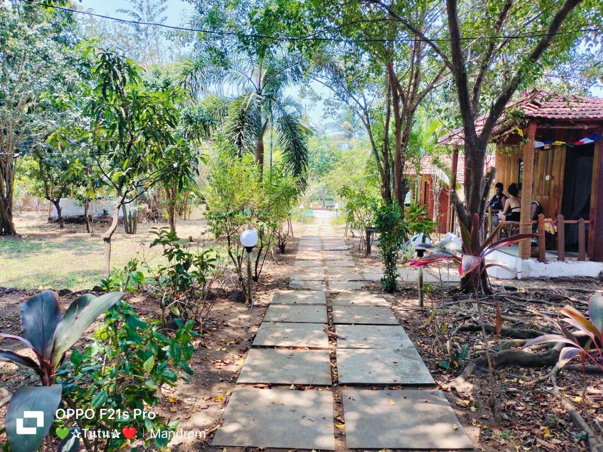 Jamboree Creek Yoga Mandrem Bagian luar foto